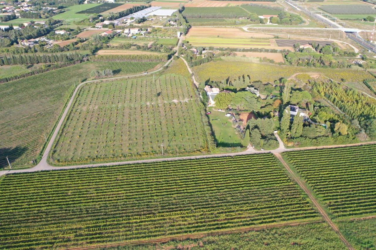 Domaine De La Trinite Montpellier - Aeroport - Plages - Arena - Zenith Saint-Aunes Zewnętrze zdjęcie